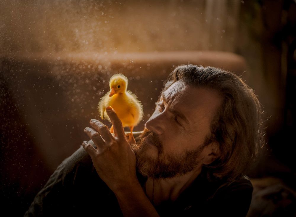 Photograph by Светлана Корнелюк