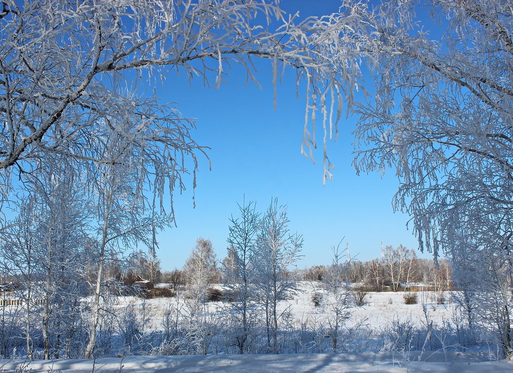 Photograph by Наталья Юрова
