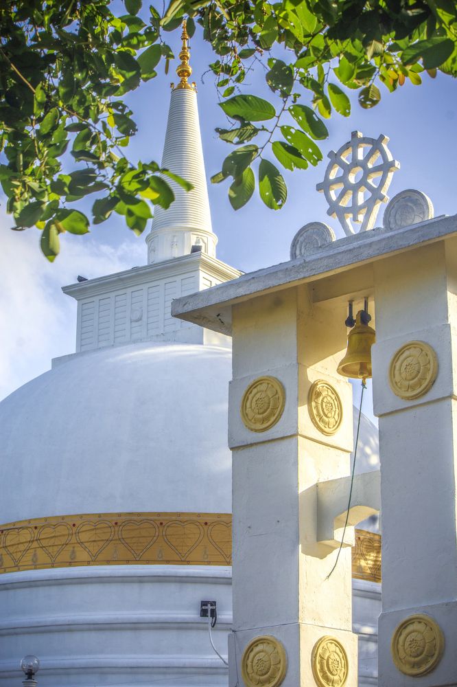 Фотография автора Maliyadewa Wadupola