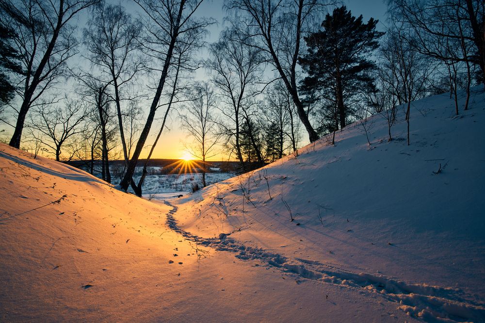 Photograph by Дмитрий Дыбов