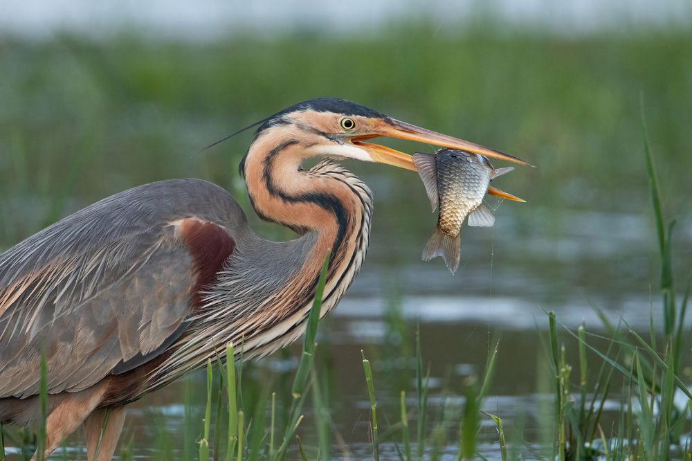 Photograph by Цветков Сергей