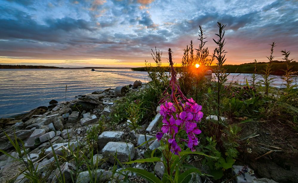 Photograph by Пётр Калачев