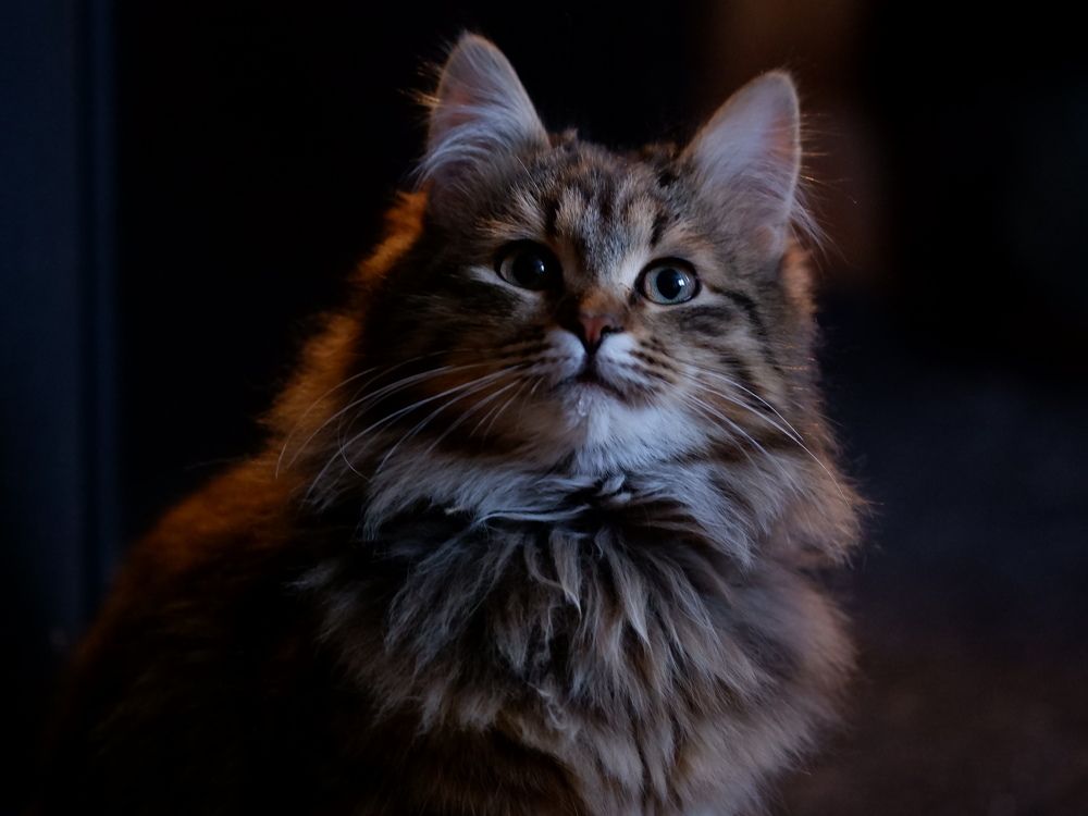 Photograph by Ольга Иовлева