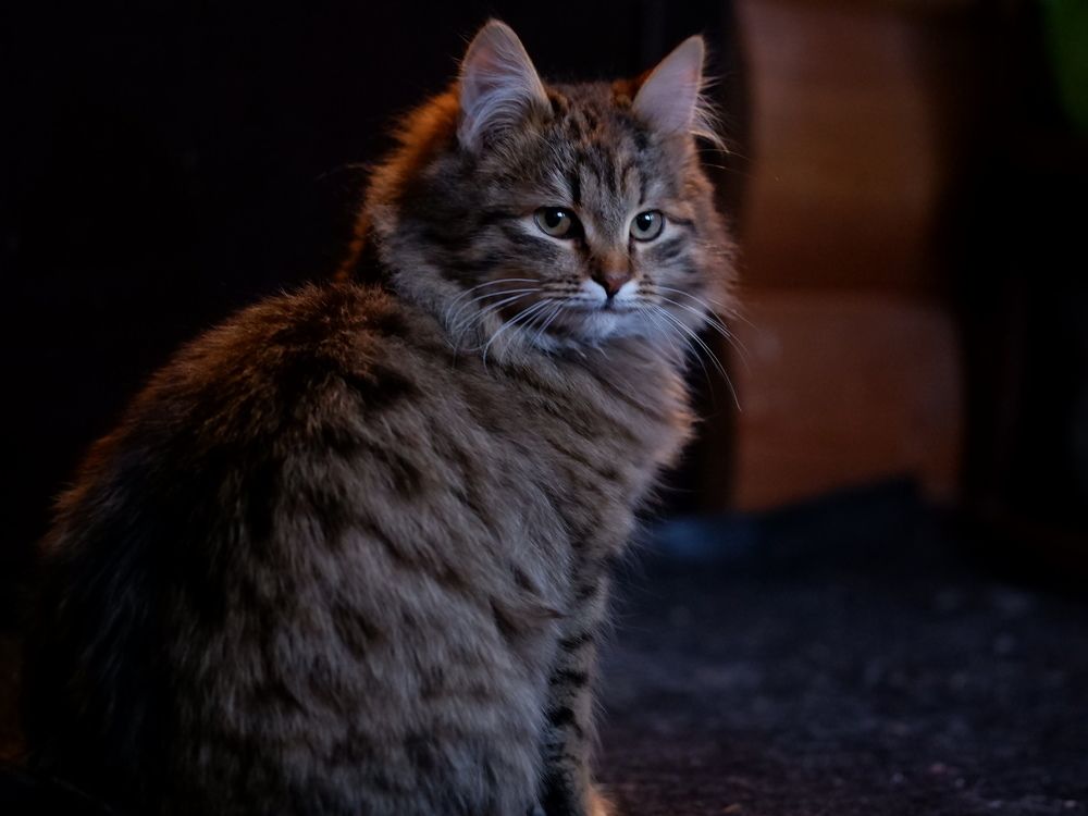 Photograph by Ольга Иовлева