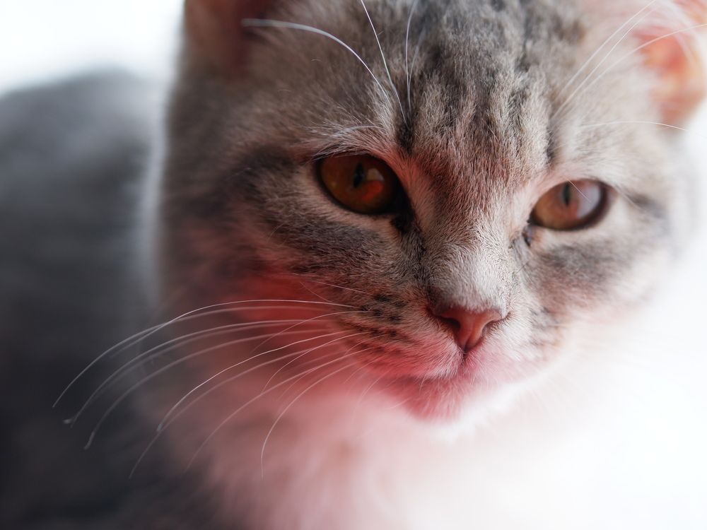 Photograph by Ольга Иовлева