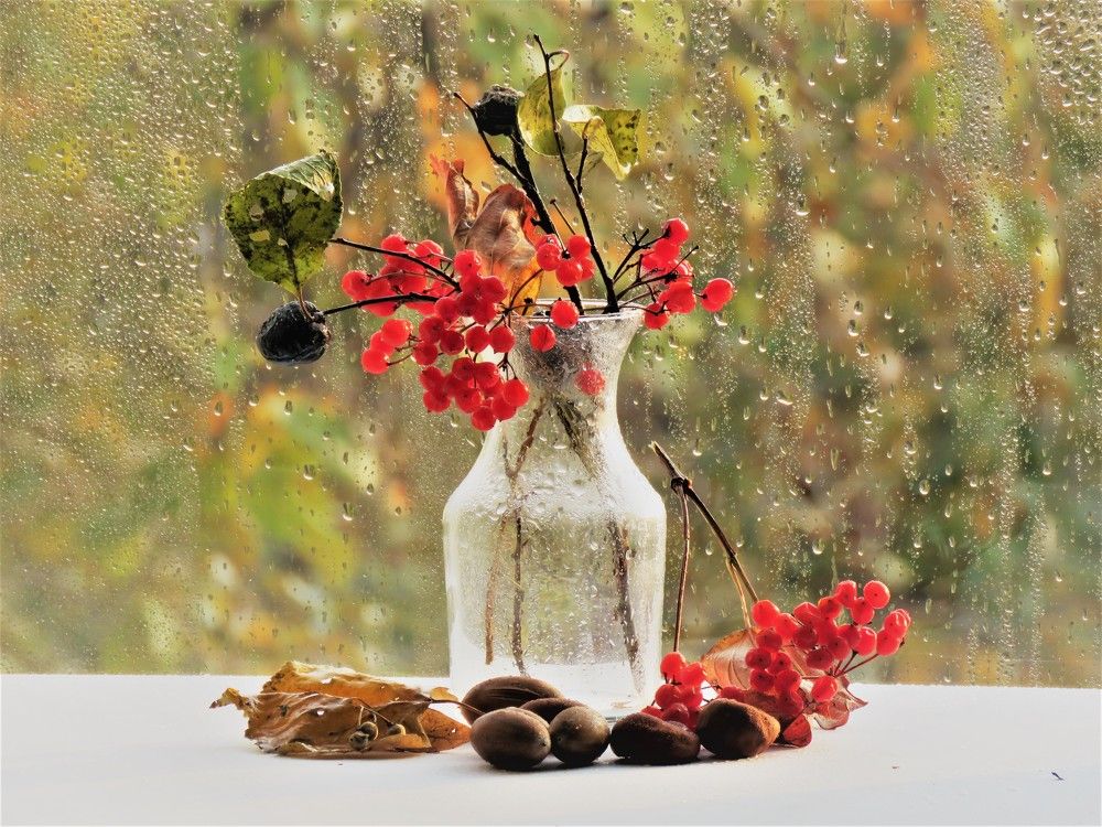 Photograph by НАТАЛЬЯ РОДИНА