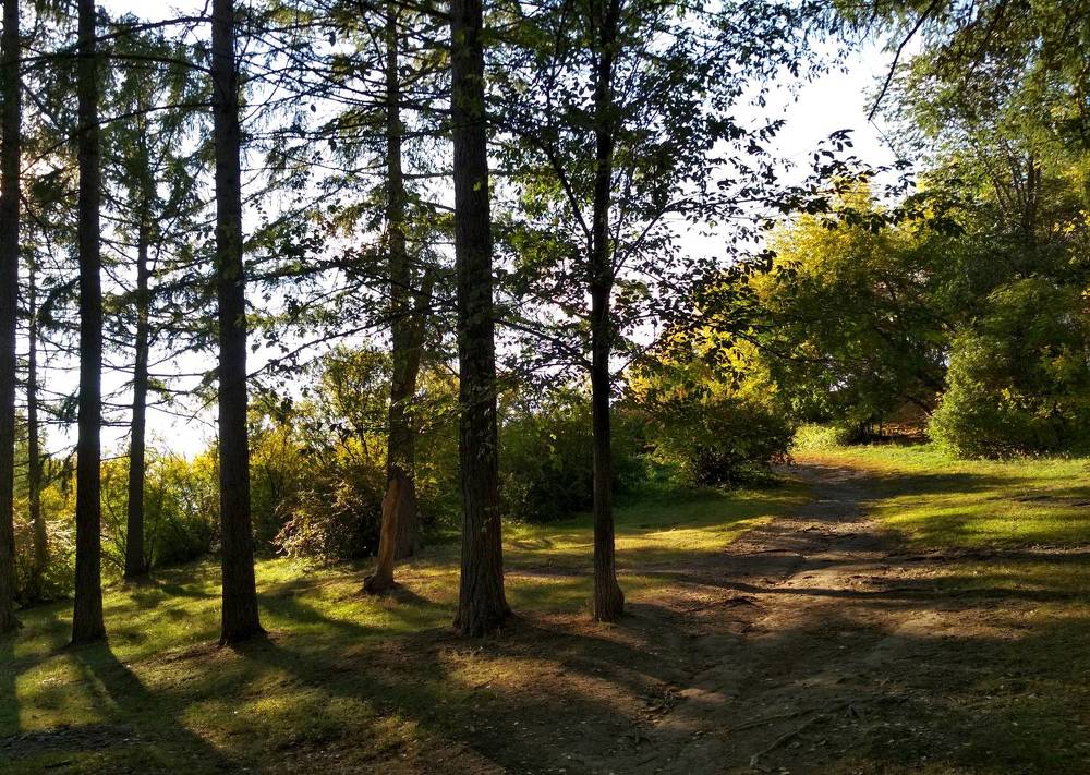 Photograph by Наталья Баженова