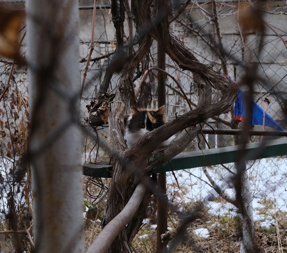 Photograph by Виктор Чернышов