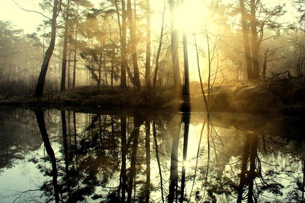 Photograph by Алексей Макаров