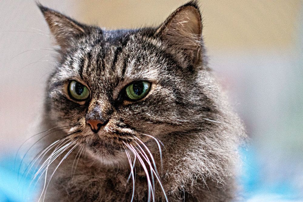 Photograph by Ольга Мельникова