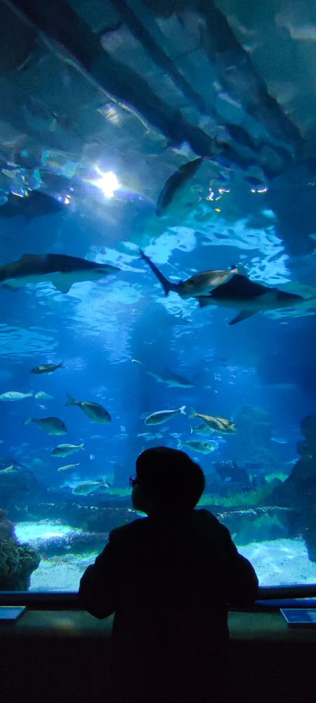 Photograph by Уточкина Виктория