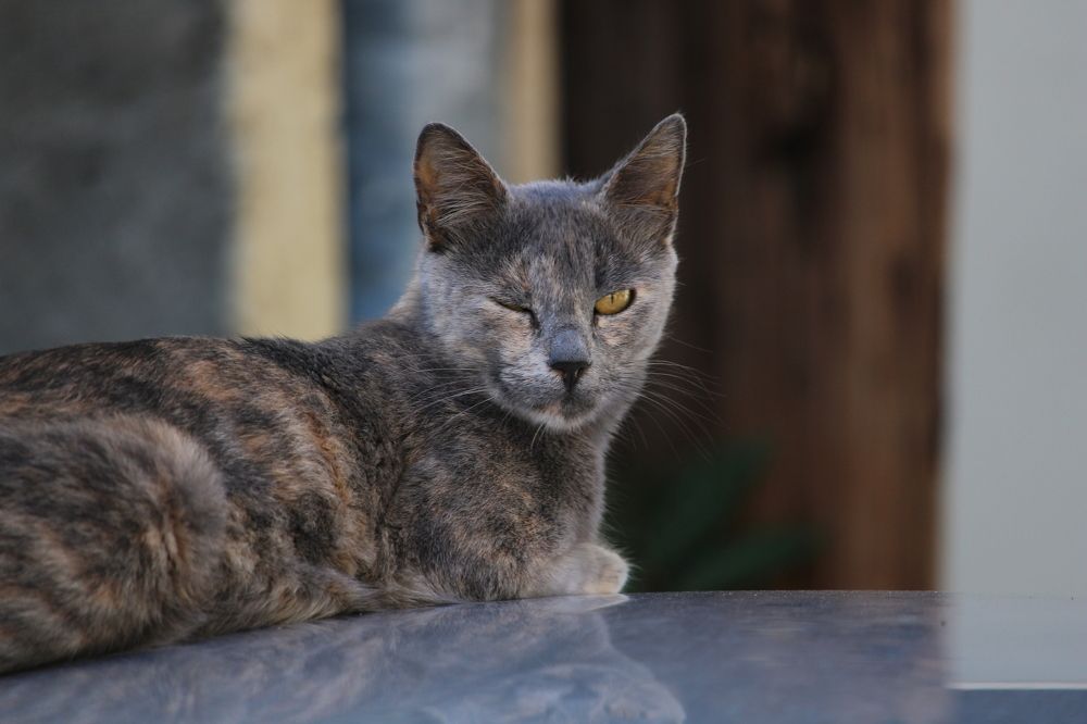 Photograph by Ольга Мельникова