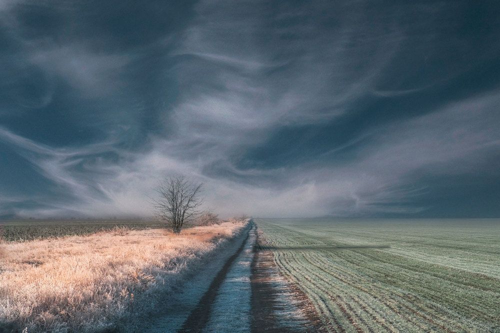 Фотография автора NIC NICOSIPOV