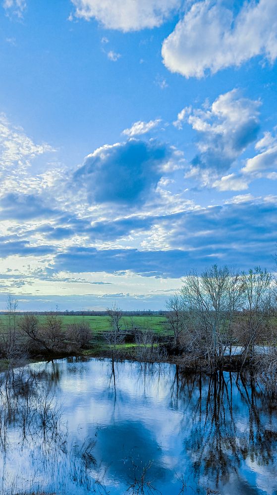 Photograph by Николай Михалев