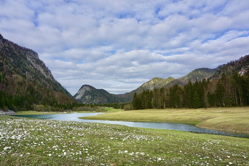 Фотография автора 