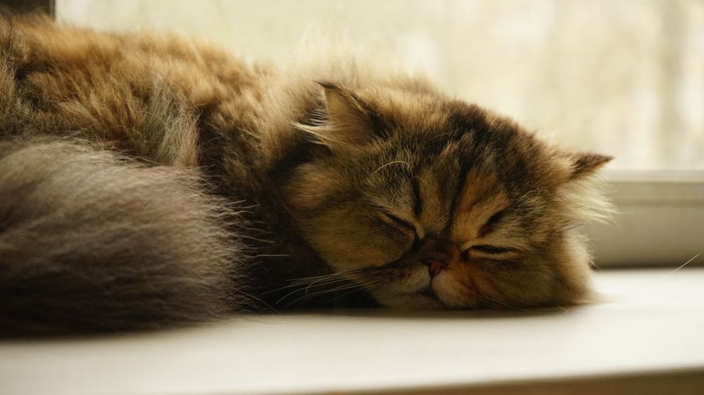 Photograph by Татьяна Дмитриева