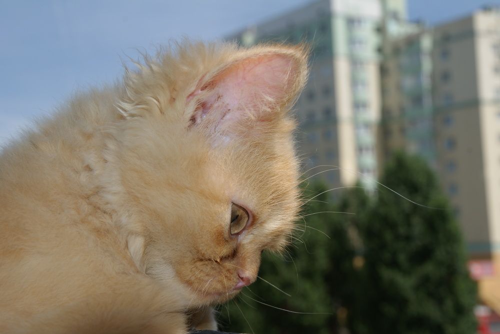 Photograph by Татьяна Дмитриева