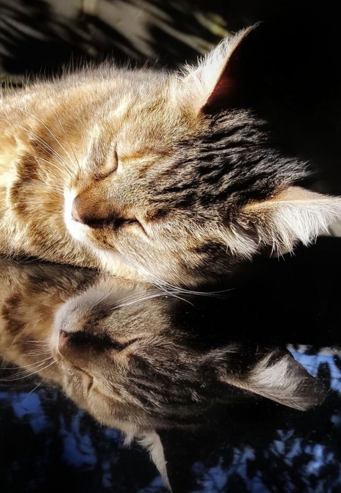 Photograph by Manuel Palma