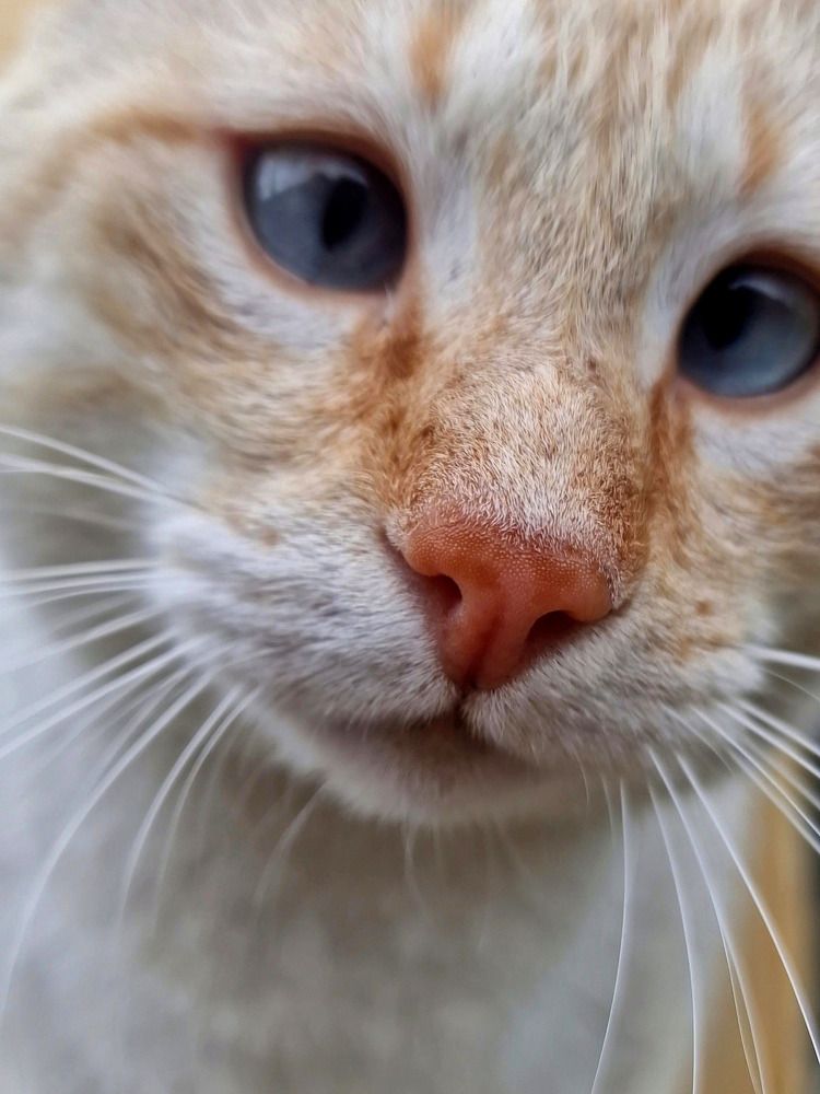 Photograph by Manuel Palma