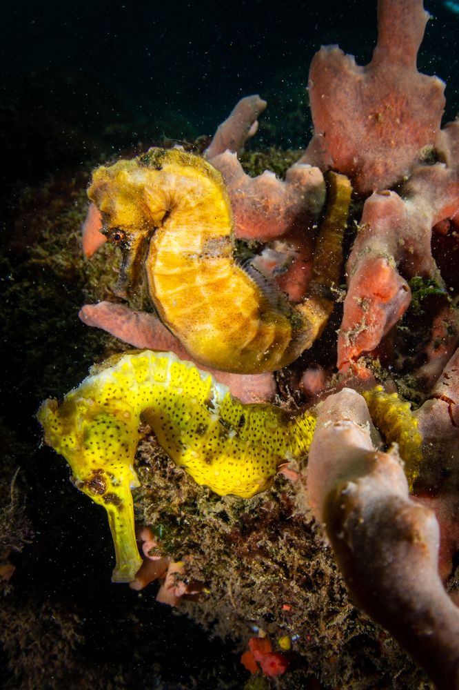 Photograph by Carlos Eduardo Barreto Pinheiro
