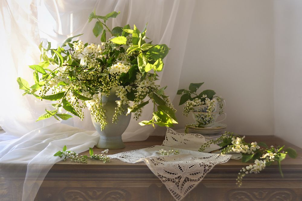 Photograph by Колова Валентина