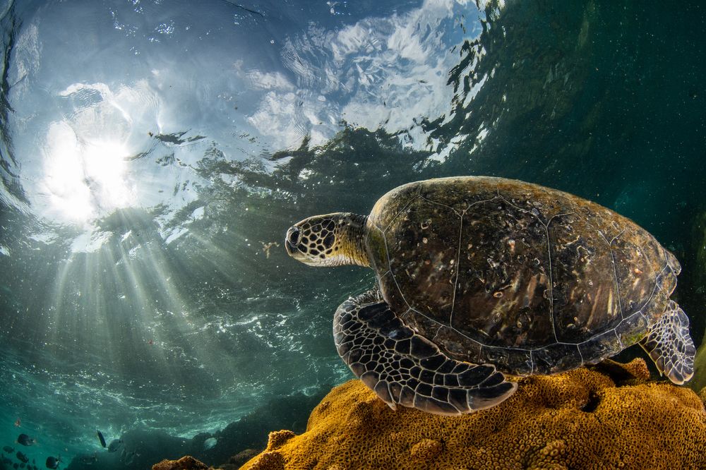 Photograph by Carlos Eduardo Barreto Pinheiro