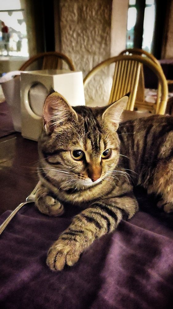 Photograph by Наталья Рау