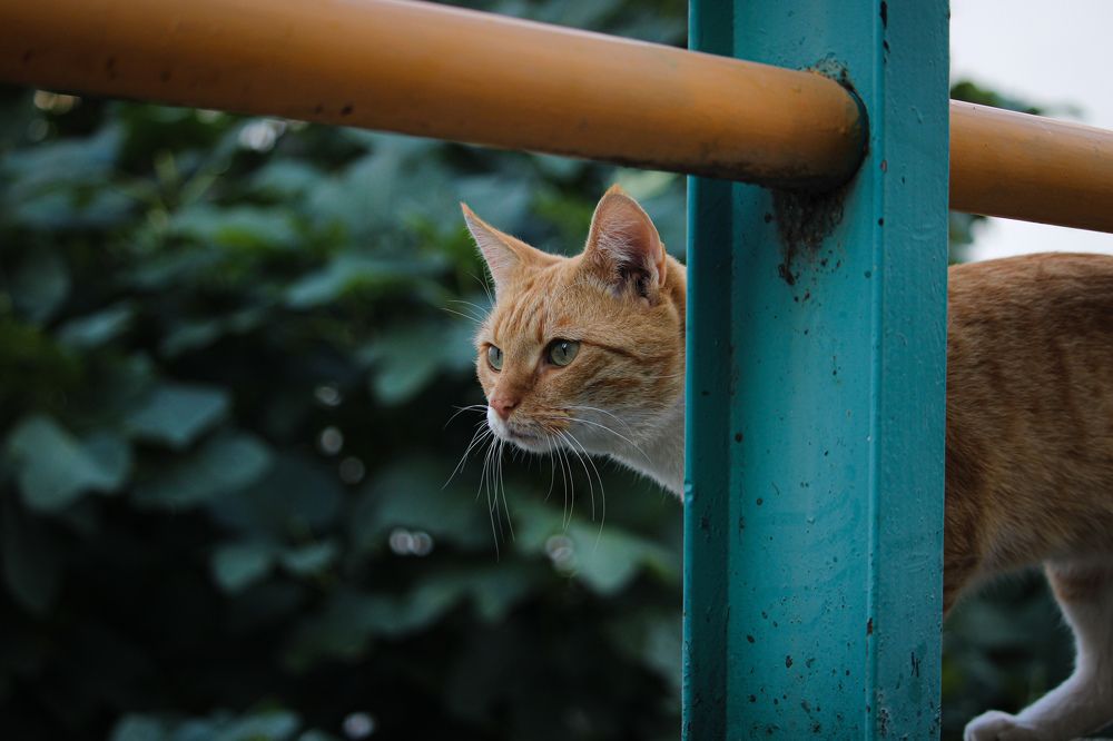 Photograph by Ольга Мельникова