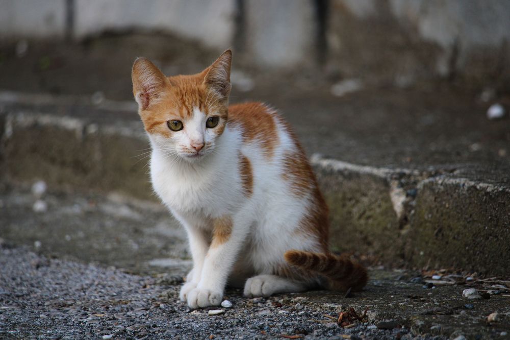 Photograph by Ольга Мельникова