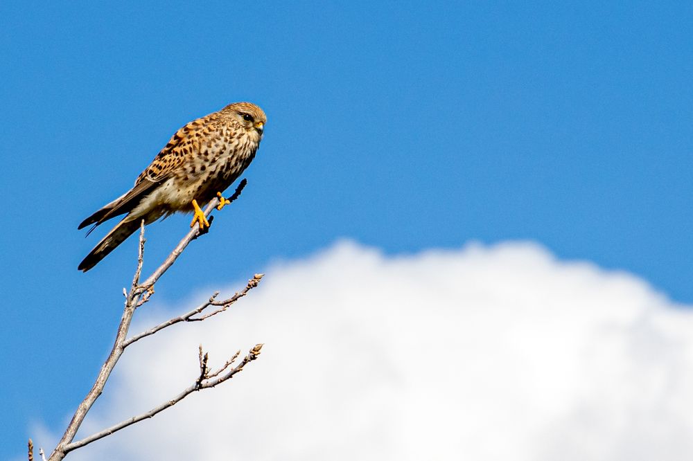 Photograph by Калинин Игорь