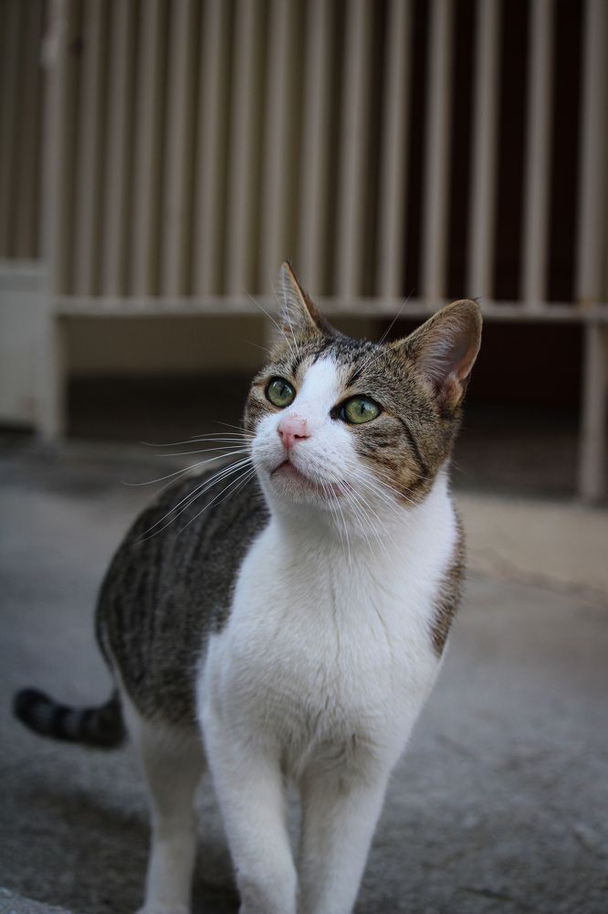 Photograph by Ольга Мельникова