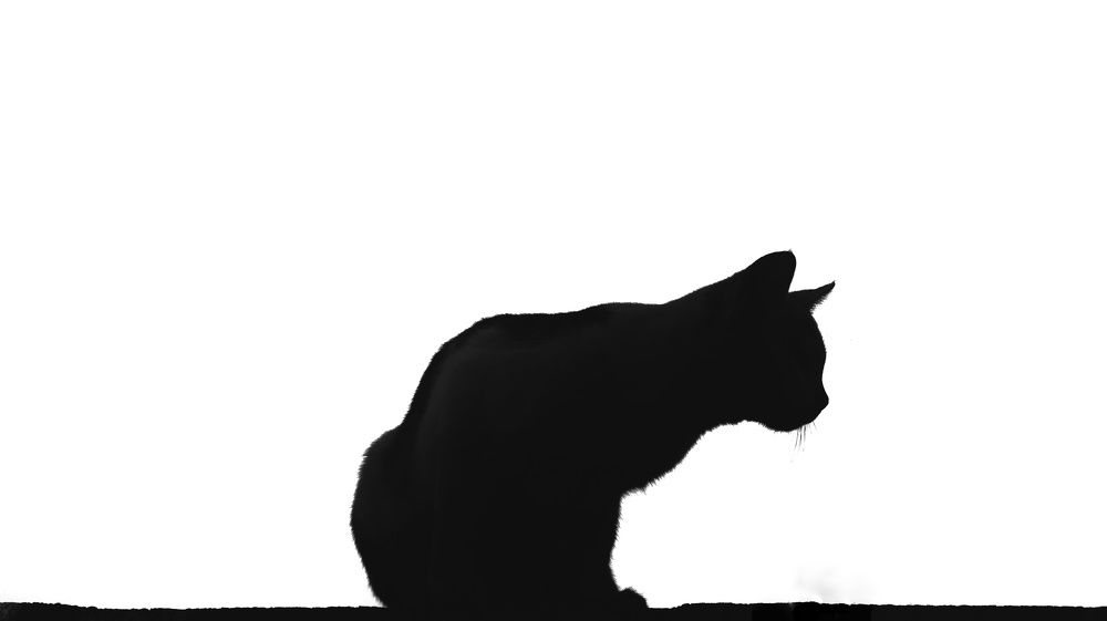 Photograph by Salwa Yousif