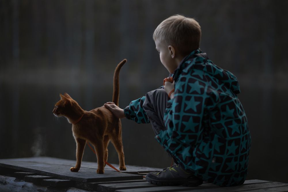 Photograph by Елена Михайлова