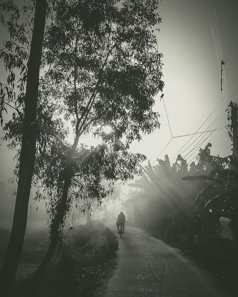 Photo #8826404