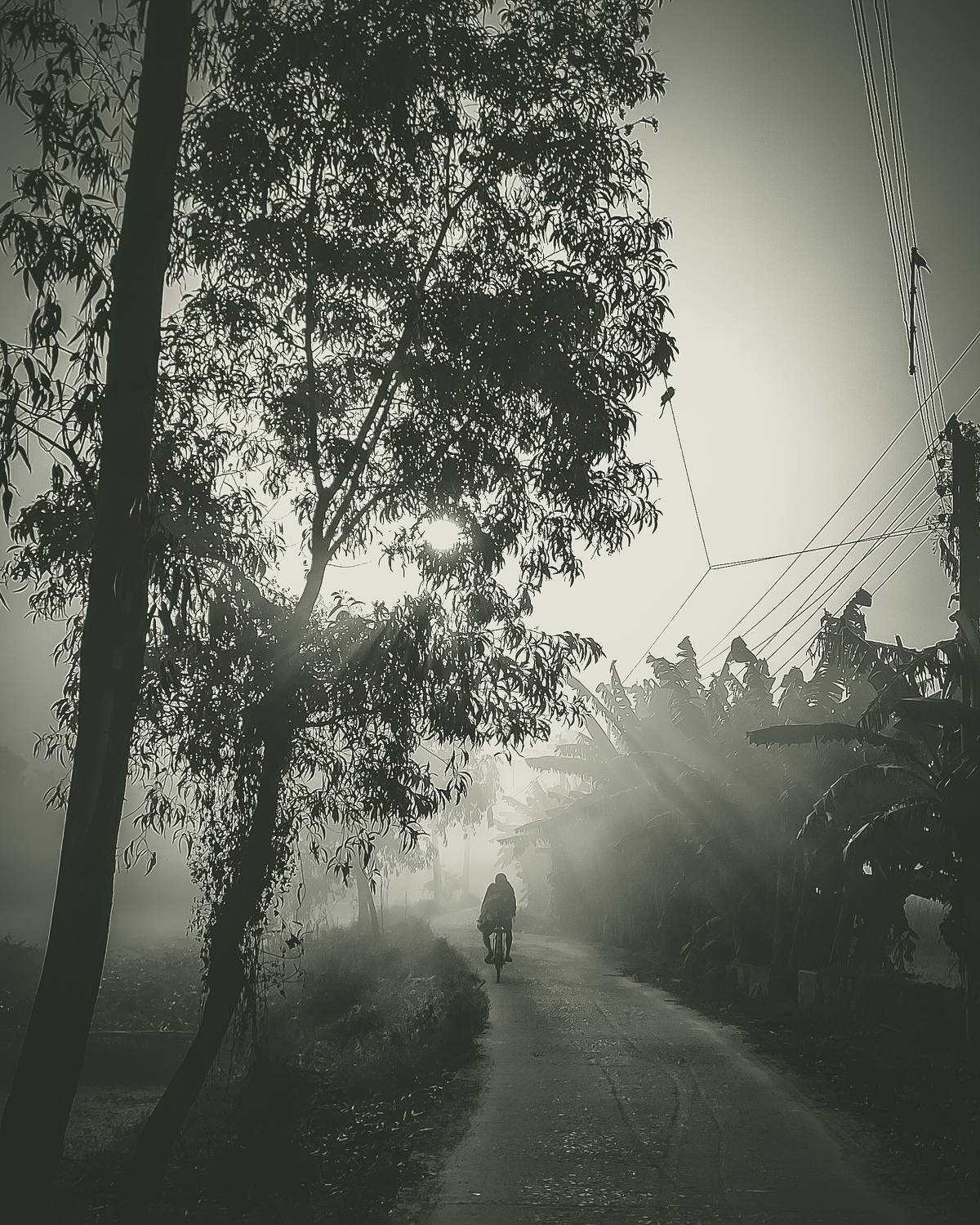 Photo #8826404