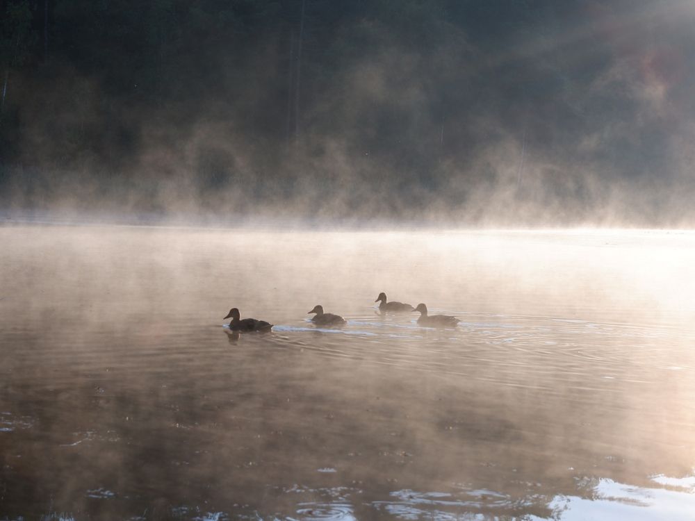 Photograph by Ольга Иовлева