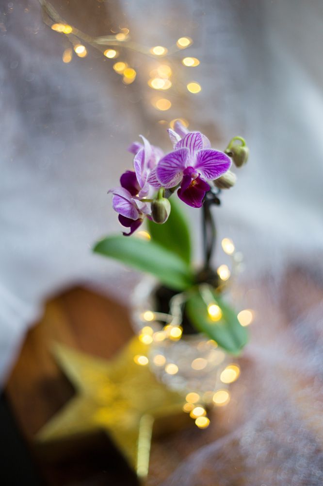 Photograph by Tatiana Kurilas