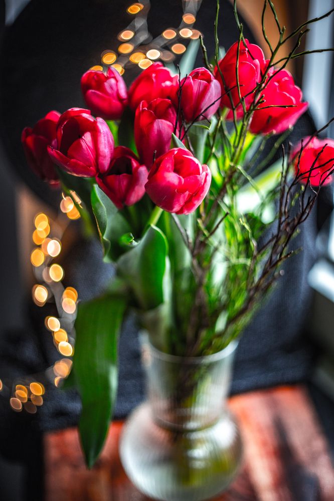 Photograph by Tatiana Kurilas