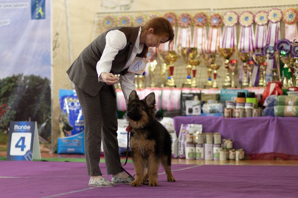 Photograph by Полианна Напара