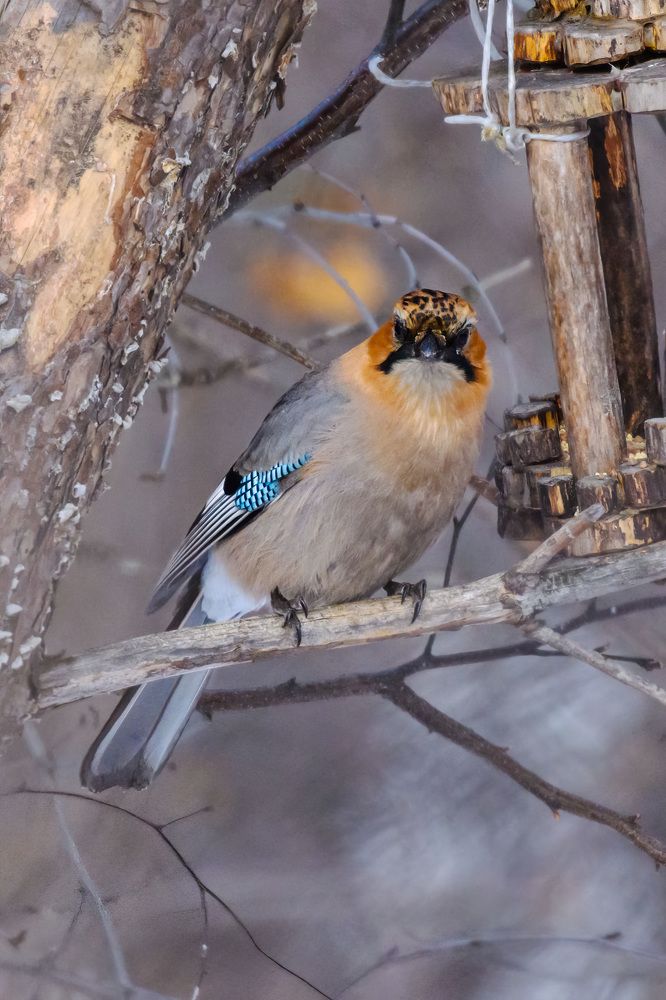 Photograph by Андрей Захаров