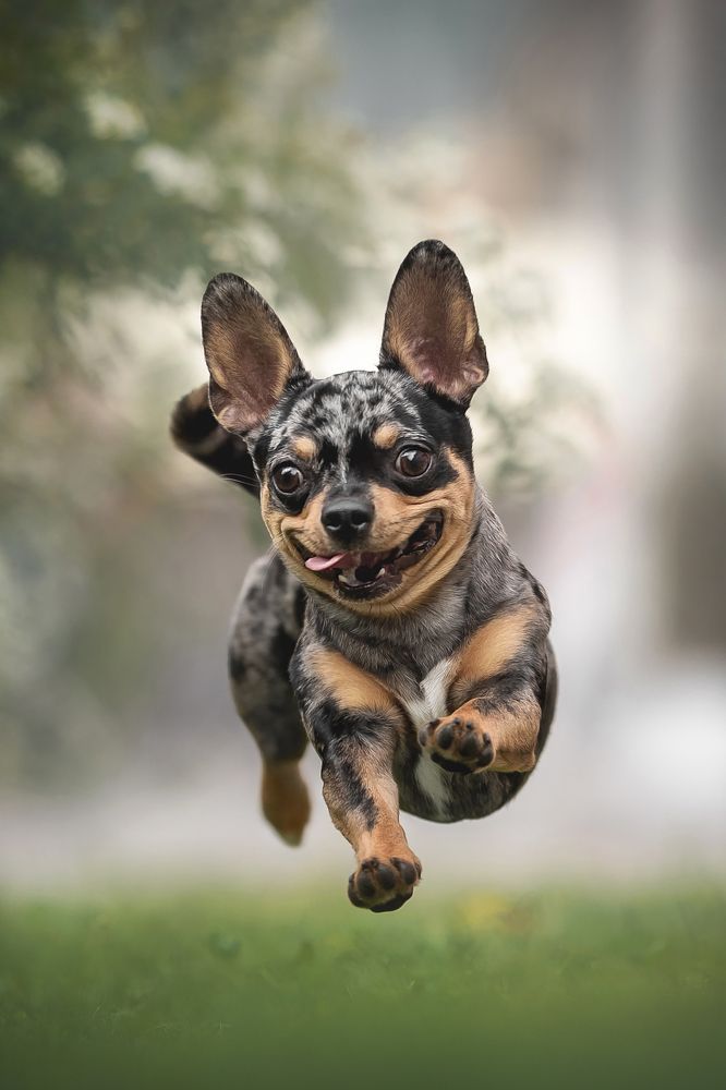 Photograph by Людмила Богуш