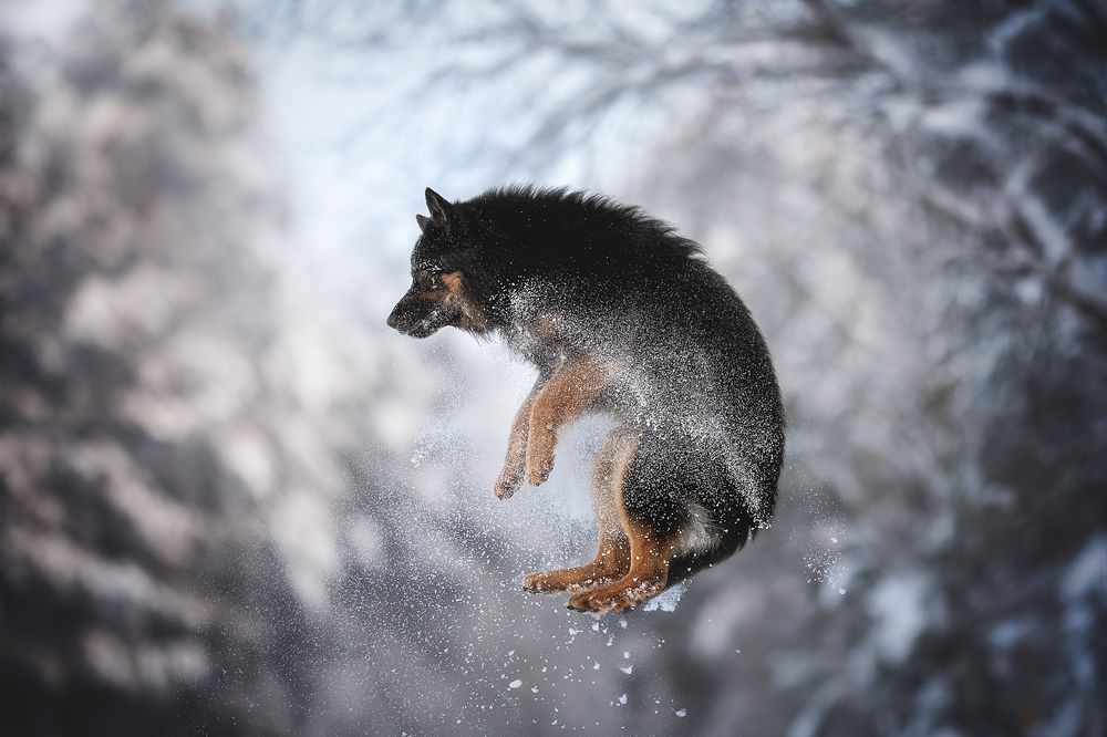 Photograph by Людмила Богуш