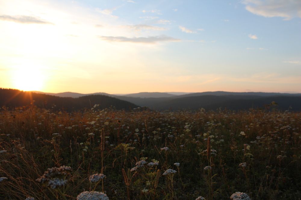 Photograph by Полина Зайцева