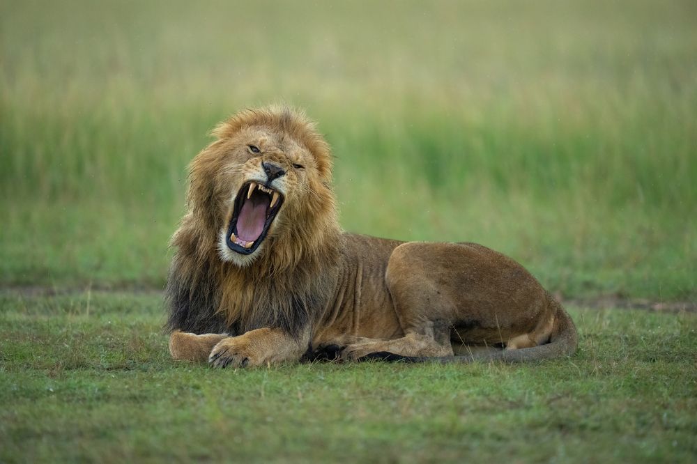 Photograph by Hari Kumar