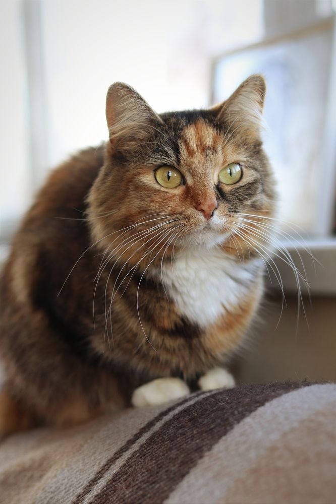 Photograph by Мазенко Галина