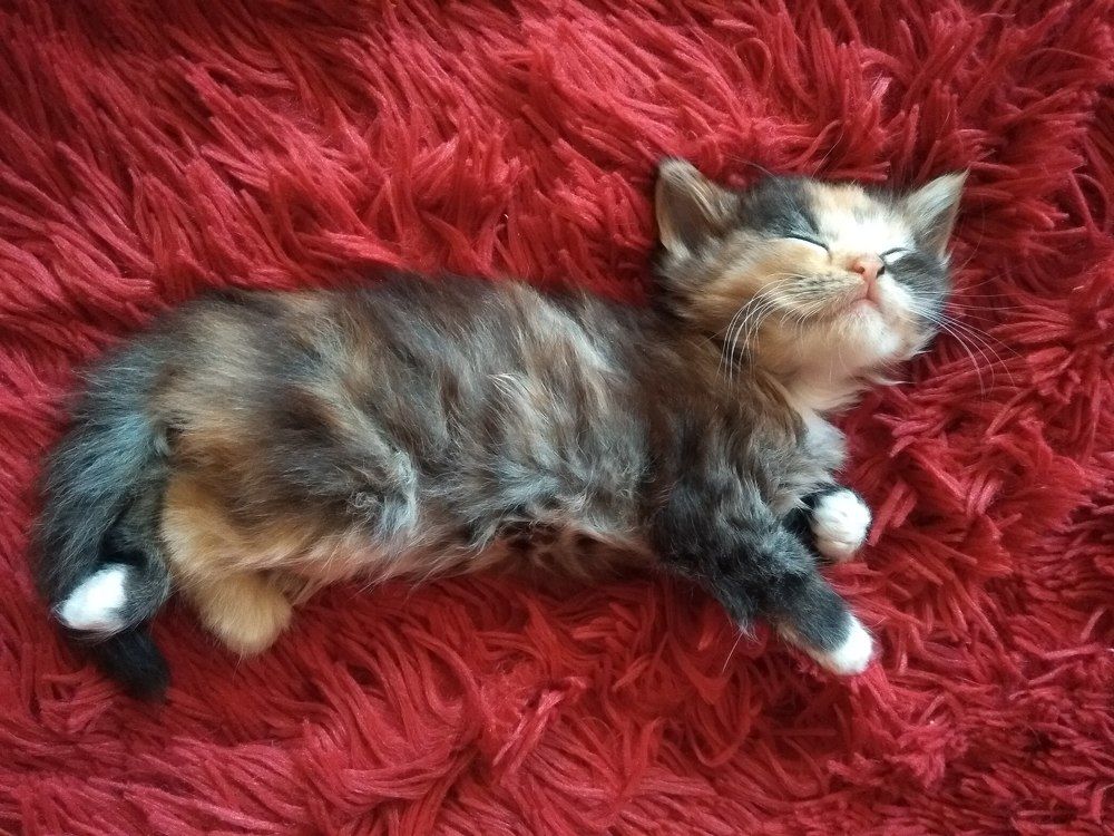 Photograph by Мазенко Галина