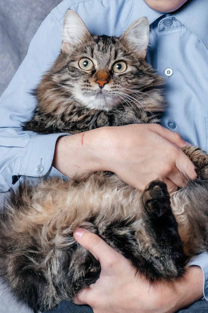 Photograph by Александра Глускер