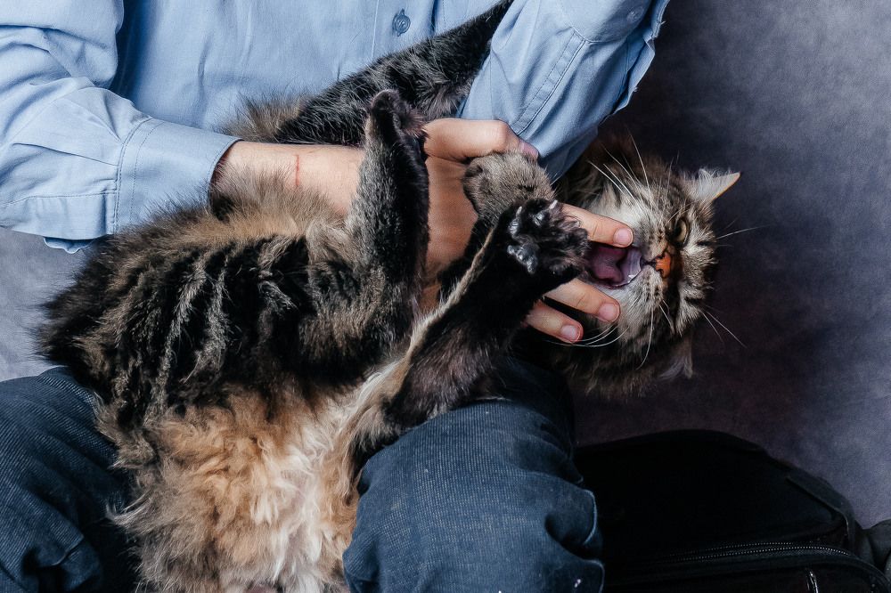 Photograph by Александра Глускер