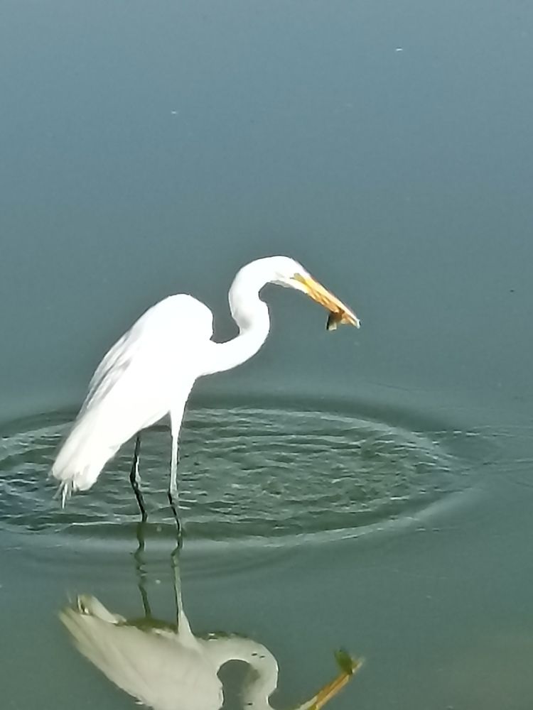 Photograph by Horacio Rojas