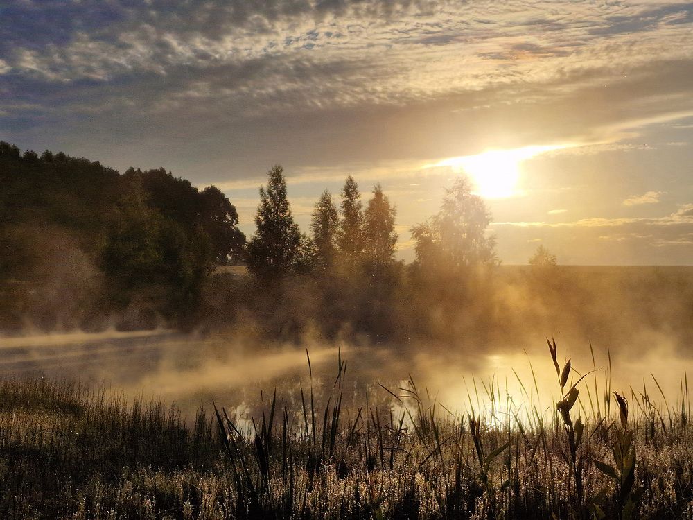 Photograph by Филипп Григорьев